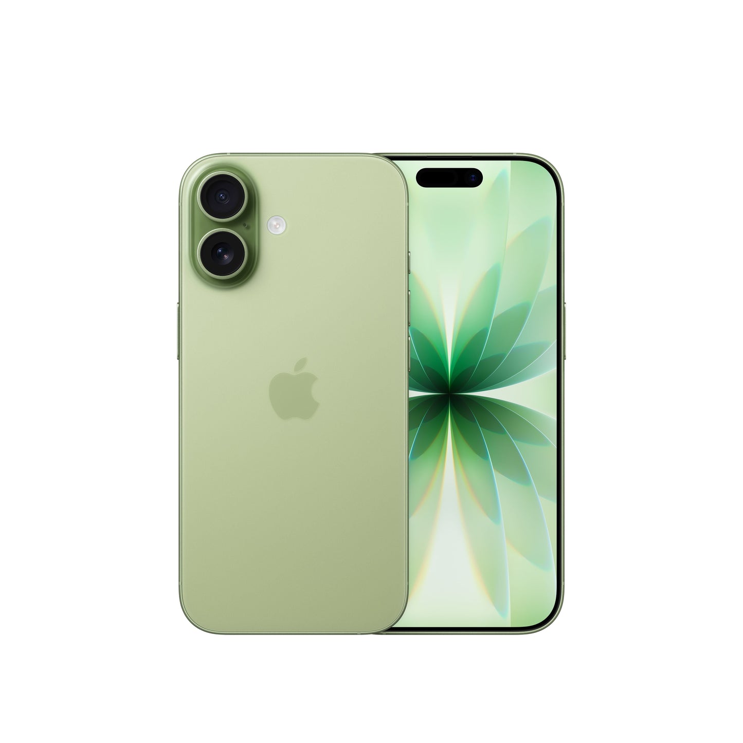 iPhone 17 256GB Salbeigrün